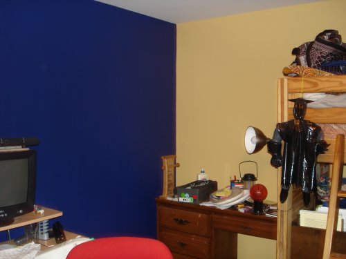 Dramatic Solid Colors beautiful wall decor ideas